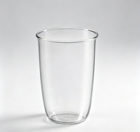 Sleek Ins-Style Clear Glass Water Cup for Iced Latte, Fruit Tea & Sparkling Water